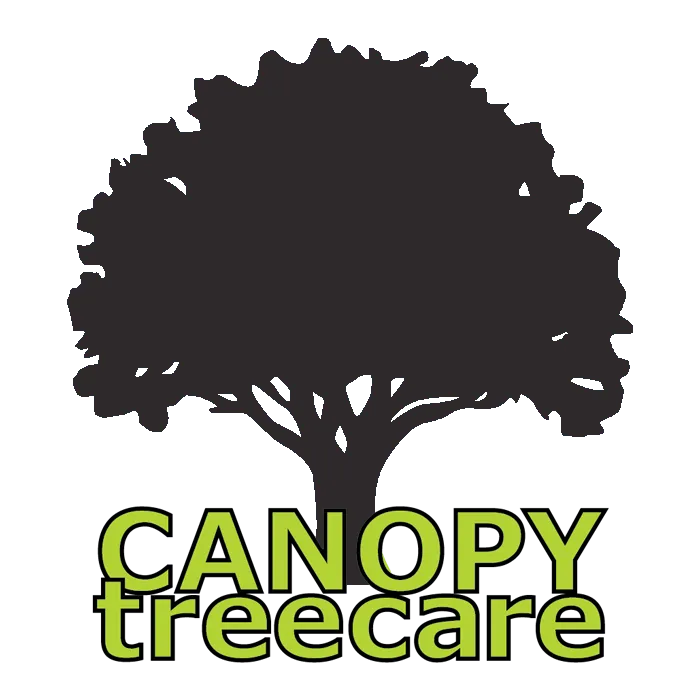 Canopy Tree Care